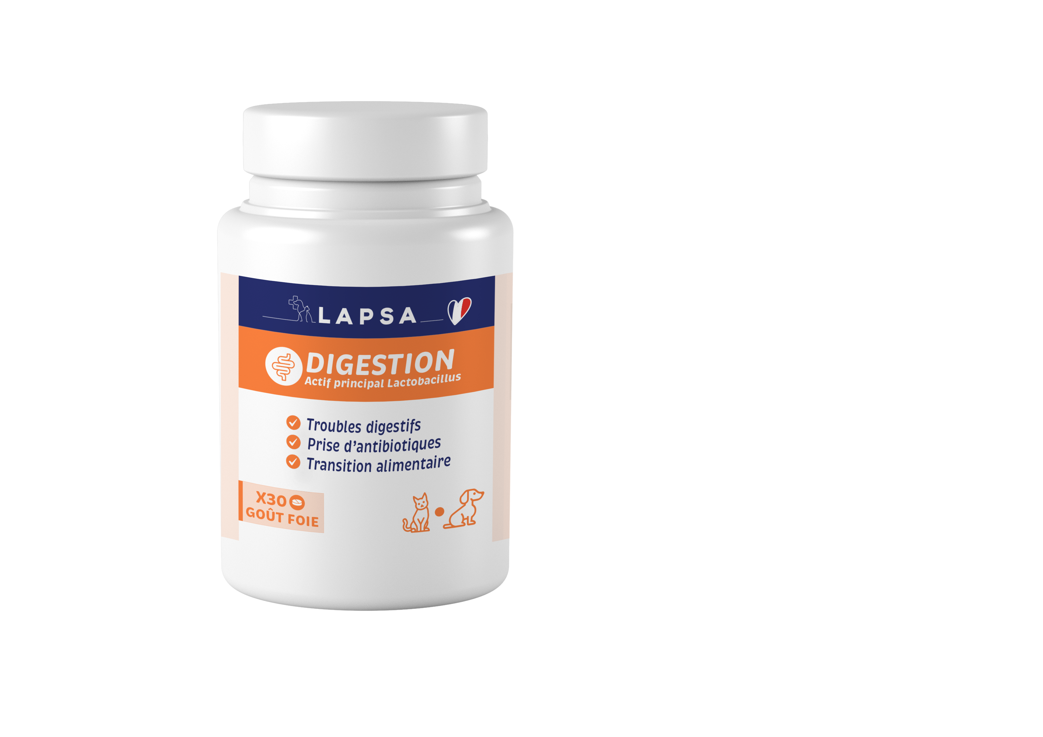 MOCKUP_CA_DIGESTION_SF.png